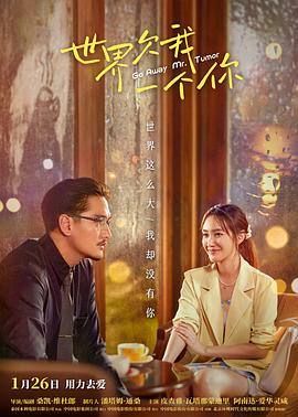 伊人丁香久久精品海报剧照